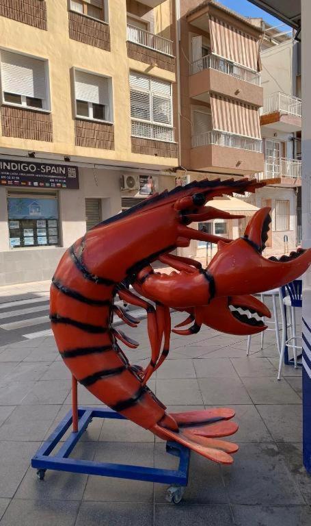 Eb By Zanis Leilighet Torrevieja Eksteriør bilde